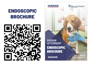 Endoscopic Brochure