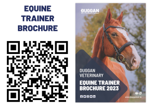 Equine Trainer Brochure