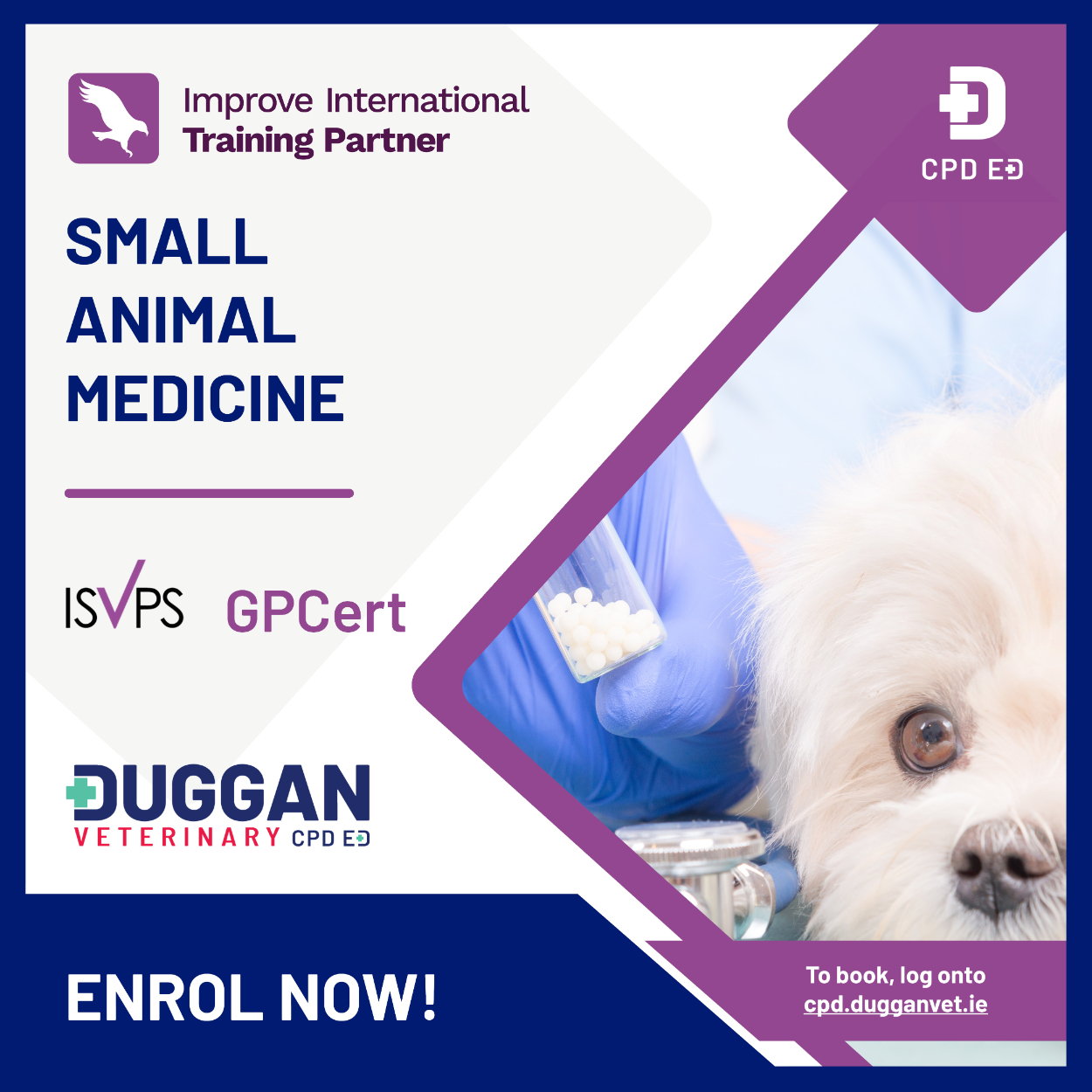 Improve International Small Animal Medicine