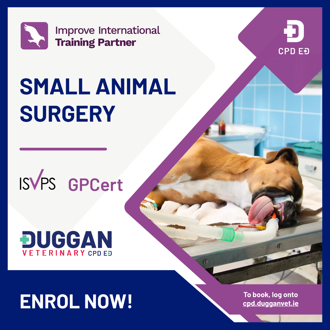 Improve International Small Animal Surgery