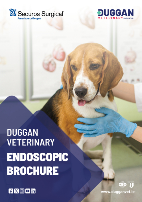 Endoscopic Brochure