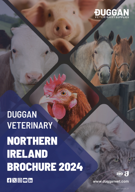 Northern Ireland Brochures