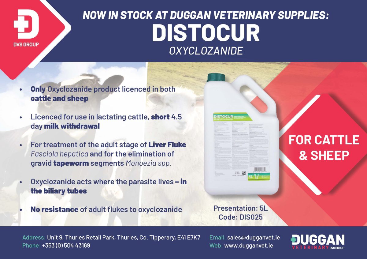 Breaking New Ground in Liver Fluke Treatment: Distocur's Dual Action Formula