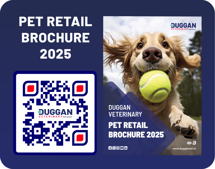 QR Code Image