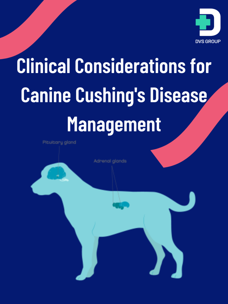Clinical Considerations for Canine Cushing’s Disease Management