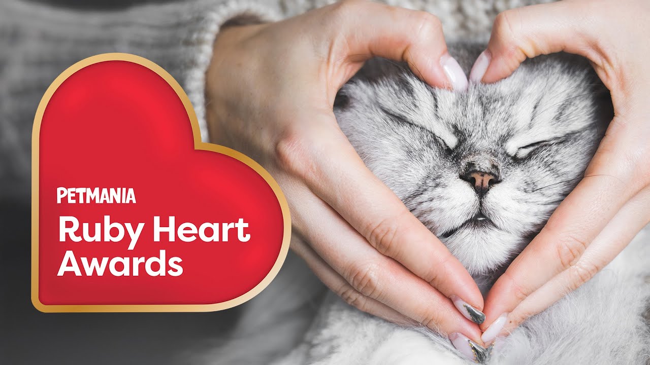 Pet-Friendly Workplace Award at the Petmania Ruby Heart Awards 2026. 