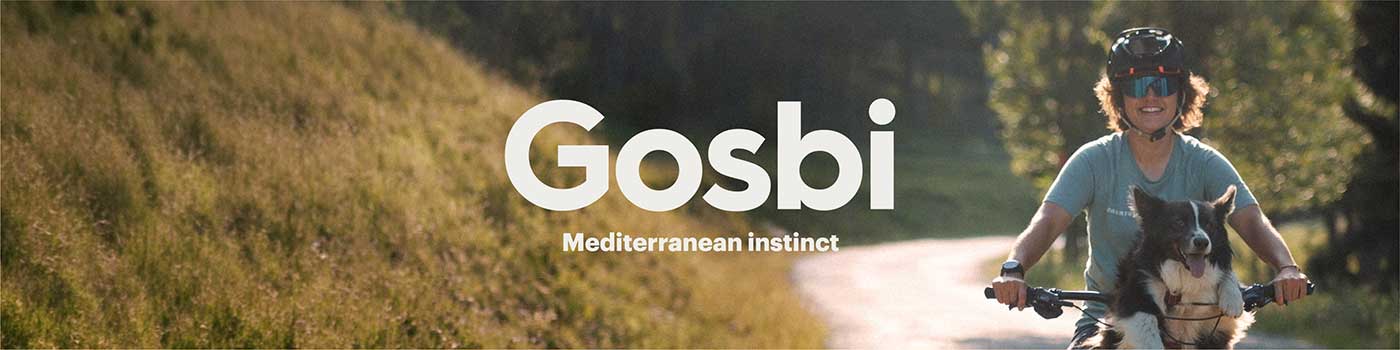 Gosbi