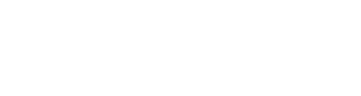 Premier Skills Institute