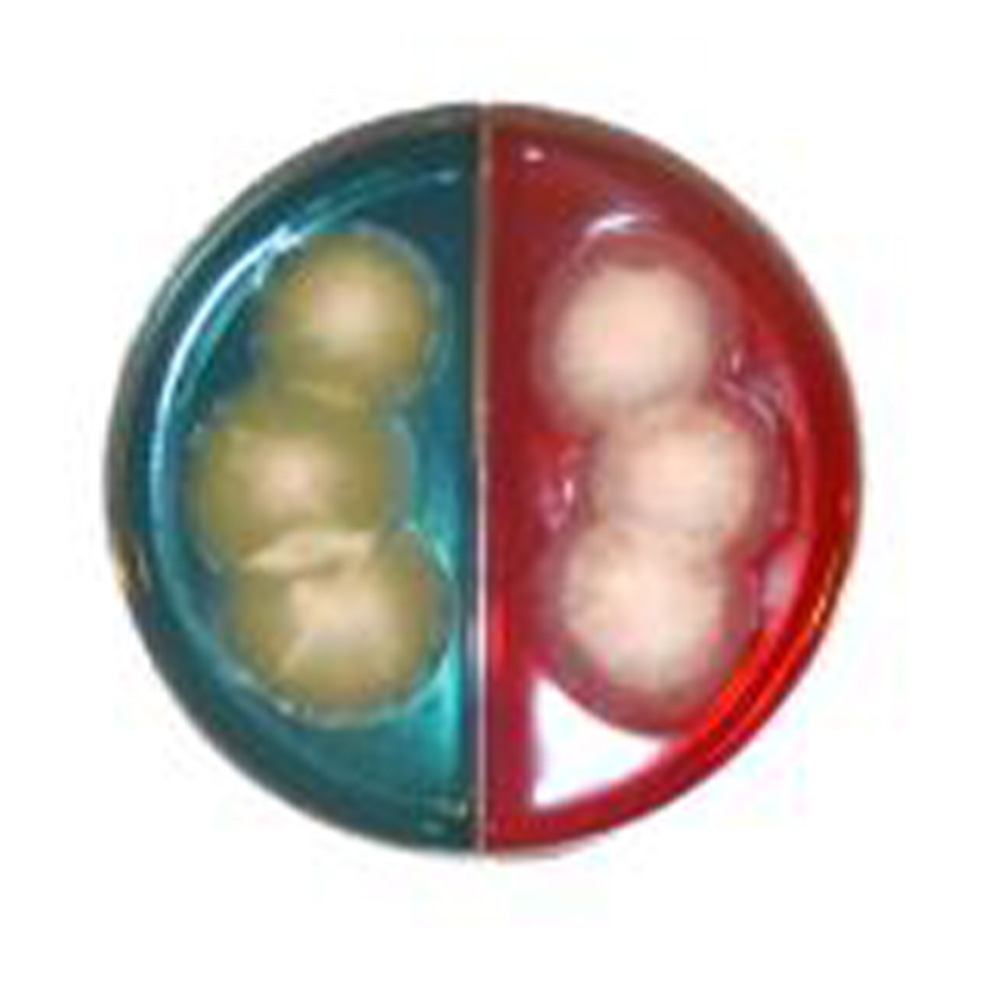 CHROMYCO